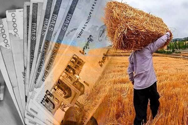 پرداخت ۵۸ درصد از مطالبات گندم کاران لرستانی