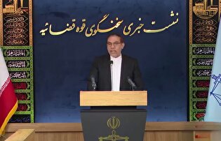۱۷ شرکت بابک زنجانی به شرکت ملی نفت واگذار شده است