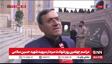 قشقاوی: در حال حاضر مکانیزم ماشه مبنای حقوقی ندارد + فیلم