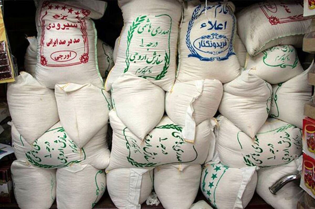 نبود زنجیره تأمین شفاف، بازار برنج را به دلالان سپرد