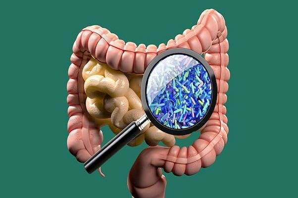این باکتریهای دهانی میتوانند مغز را از بین ببرند