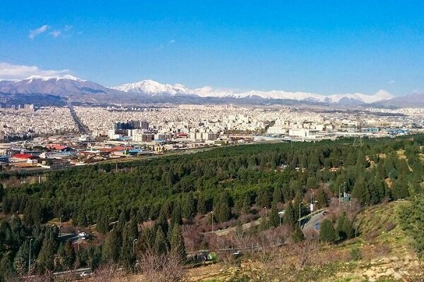 رفع موانع کاشت ۳۰ هزار درخت در بوستان سرخه حصار