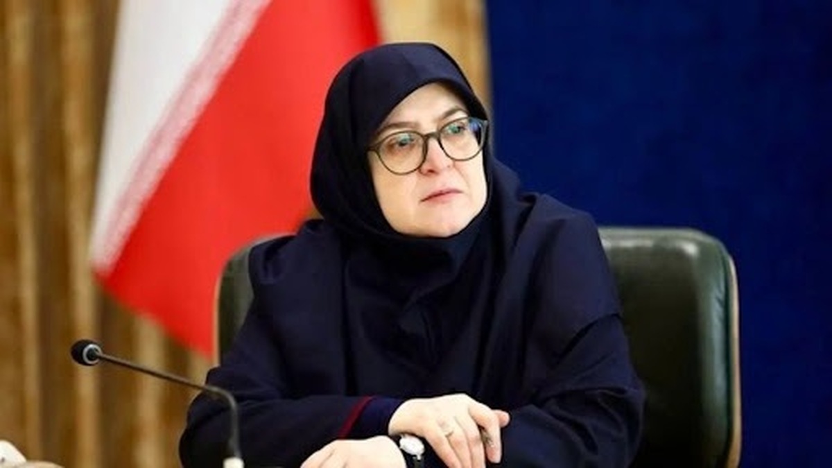 مهاجرانی: لایحه دولت برای فضای مجازی مانع آزادی بیان نیست