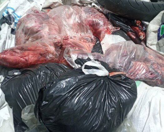 باند فروش گوشت گراز به رستوران‌های گلستان منهدم شد