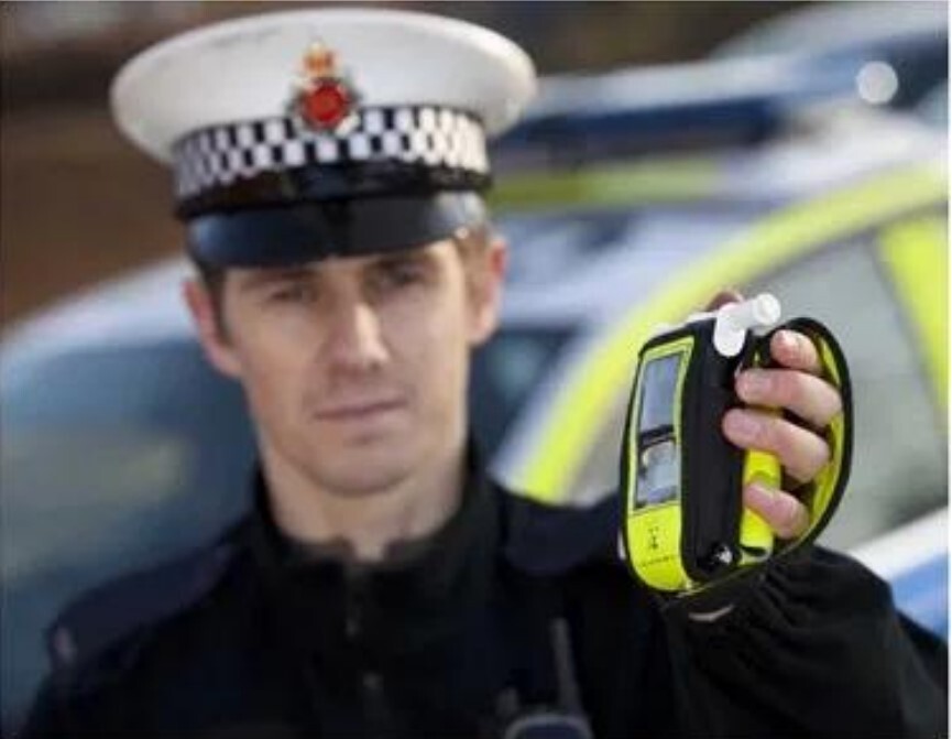 نگاهی به ویژگی های خارق العاده بویایی سگ های پلیس/ وقتی بینی سگ&zwnj;ها، پیشرفته&zwnj;ترین تکنولوژی را هم شکست می&zwnj;دهد