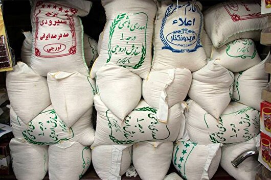 نبود زنجیره تأمین شفاف، بازار برنج را به دلالان سپرد