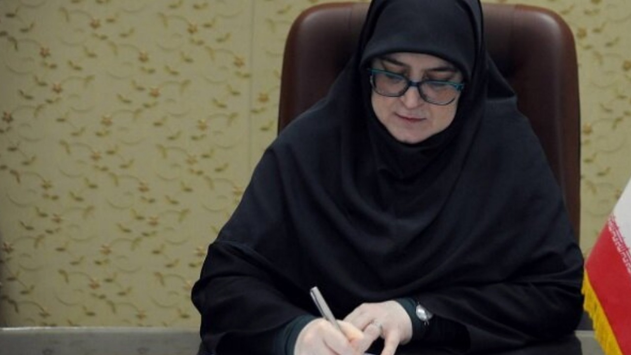 مهاجرانی: استرداد لایحه فضای مجازی در دولت تصویب شد