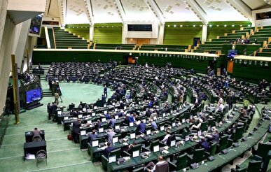 نمایندگان مجلس خواستار اعطای نشان شجاعت به سحر امامی و هومن خلیلی شدند + فیلم