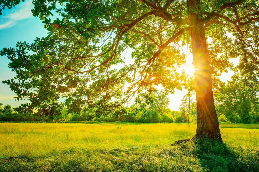 افزایش ۲ تا ۴ درجهای دمای هوا در گیلان