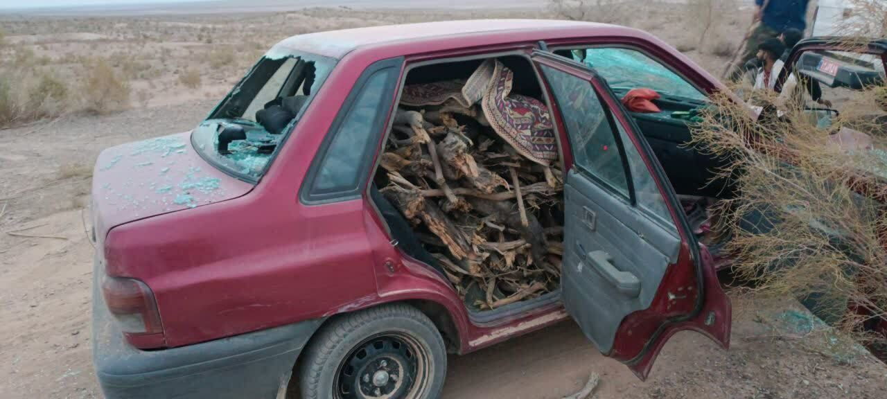 فرمانده یگان حفاظت منابع طبیعی اشتهارد بر اثر تیراندازی قاچاقچیان چوب مجروح شد