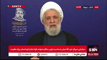 شیخ نعیم قاسم: ایده‌های راهبردی شهید فؤاد، او را از دیگران متمایز می‌کرد
