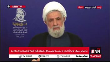 شیخ نعیم قاسم: توافق مربوط به جنوب رود لیتانی بود، اما ربط دادن آن به سلاح حزب‌الله اشتباه است؛ سلاح حزب‌الله یک موضوع داخلی است