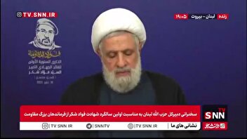 شیخ نعیم قاسم: دشمنان تصور کردند اگر نمایندهٔ آمریکا بر دولت فشار بیاورد، مشکل ایجاد خواهد شد، اما چنین نشد
