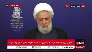 شیخ نعیم قاسم: آمریکا سوریه را ویران کرد و به اسرائیل اجازه می‌دهد هر کاری در سویدا انجام دهد