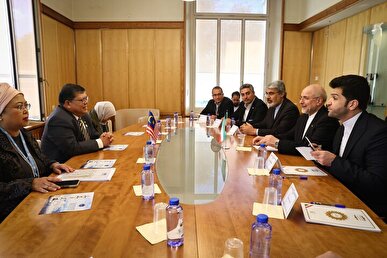 دیدار قالیباف با رئیس مجلس نمایندگان مالزی