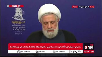 شیخ نعیم قاسم: ما سلاح را به اسرائیل نمی‌دهیم / اولویت ما سلاح نیست، بلکه ساختن لبنان است