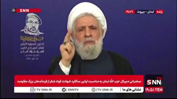 شیخ نعیم قاسم: دولت باید وظایف خود را انجام دهد؛ از جمله جلوگیری از تجاوز اسرائیل با استفاده از تمام ابزارها
