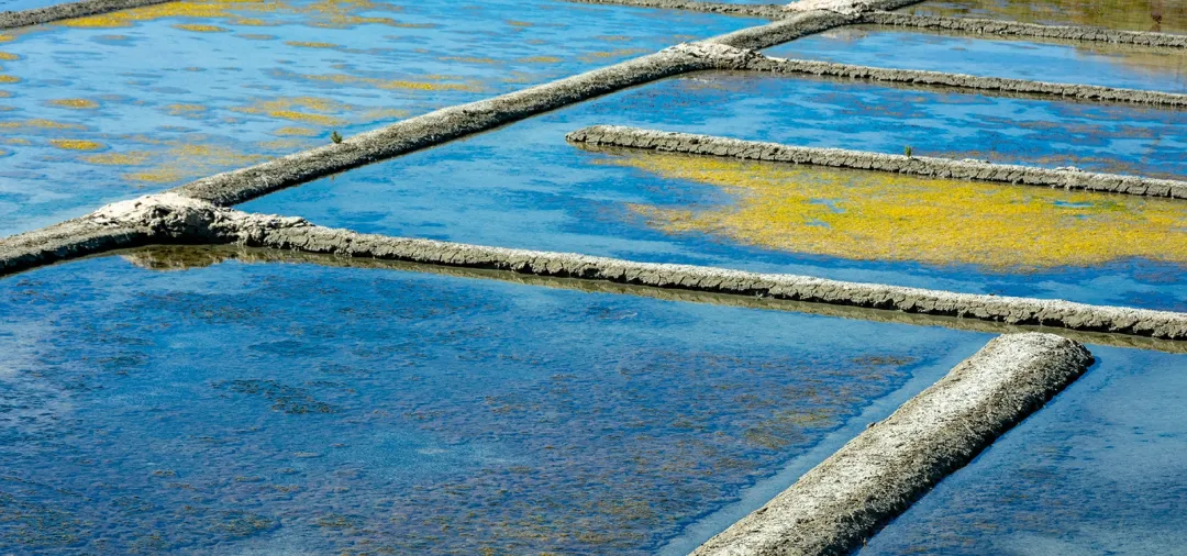 به کارگیری غشا&zwnj;های کربنی برای تصفیه پساب&zwnj;های آبزی&zwnj;پرور