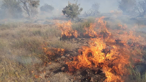 آتش‌سوزی در ۲۰ هکتار از اراضی منطقه آق داغ خلخال