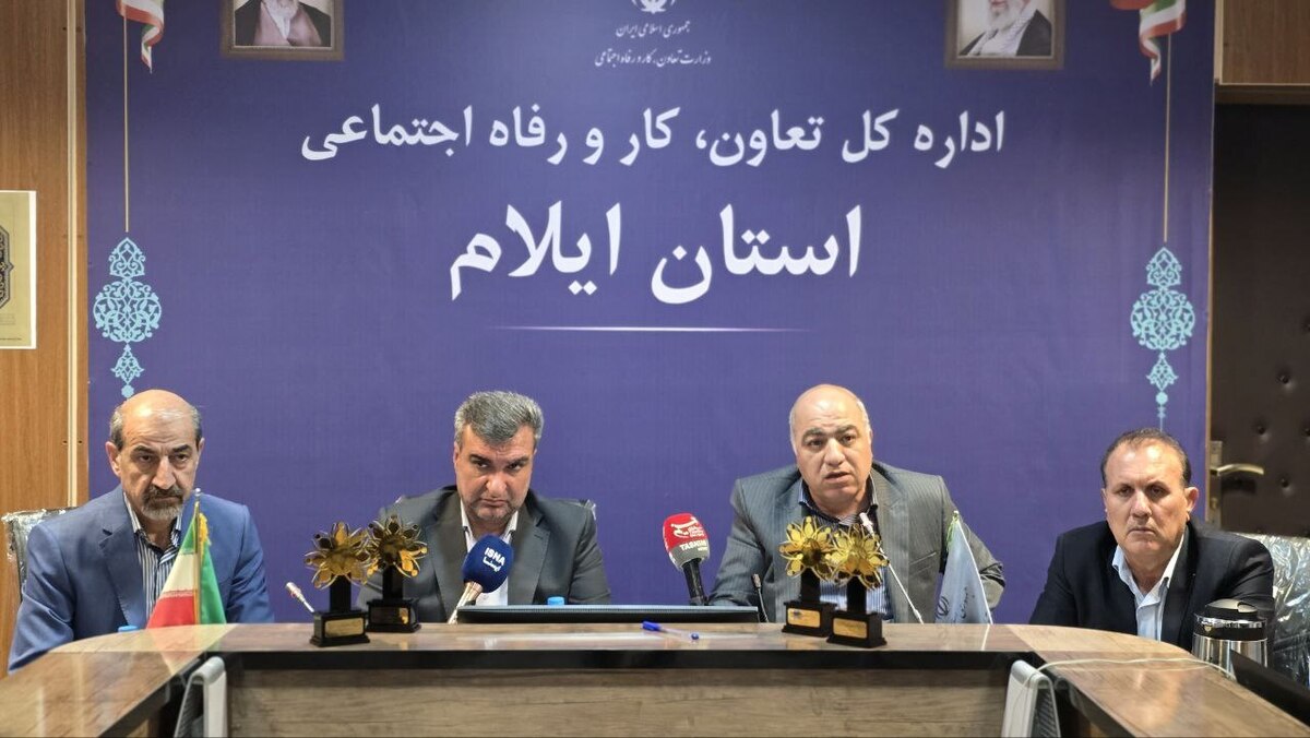 ۶۵ درصد تعاونی&zwnj;های استان ایلام فعال هستند