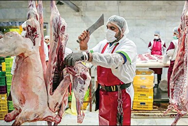 واردات ۷ هزار راس دام سبک و سنگین از پاکستان