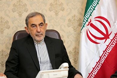 ولایتی: گام‌های فوری و عملی باید در جهت مقابله با جنایات صهیونیست‌ها برداشته شود