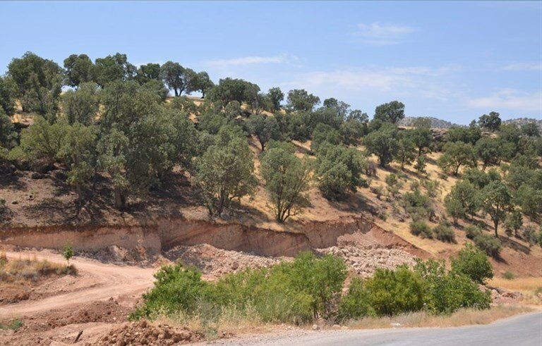 آتشسوزیهای زاگرس/جنگلهای بلوط کهگیلویه و بویراحمد در آستانه نابودی آتشسوزیهای زاگرس/جنگلهای بلوط کهگیلویه و بویراحمد در آستانه نابودی