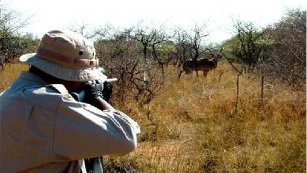 متخلفان زیست‌محیطی در سفیدکوه خرم‌آباد به دام افتادند