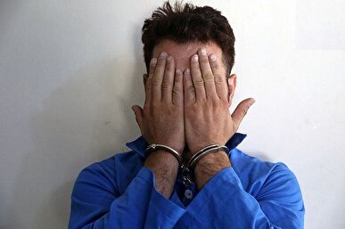 دستگیری سارق حرفه‌ای  با ۱۵ فقره سرقت در ایلام