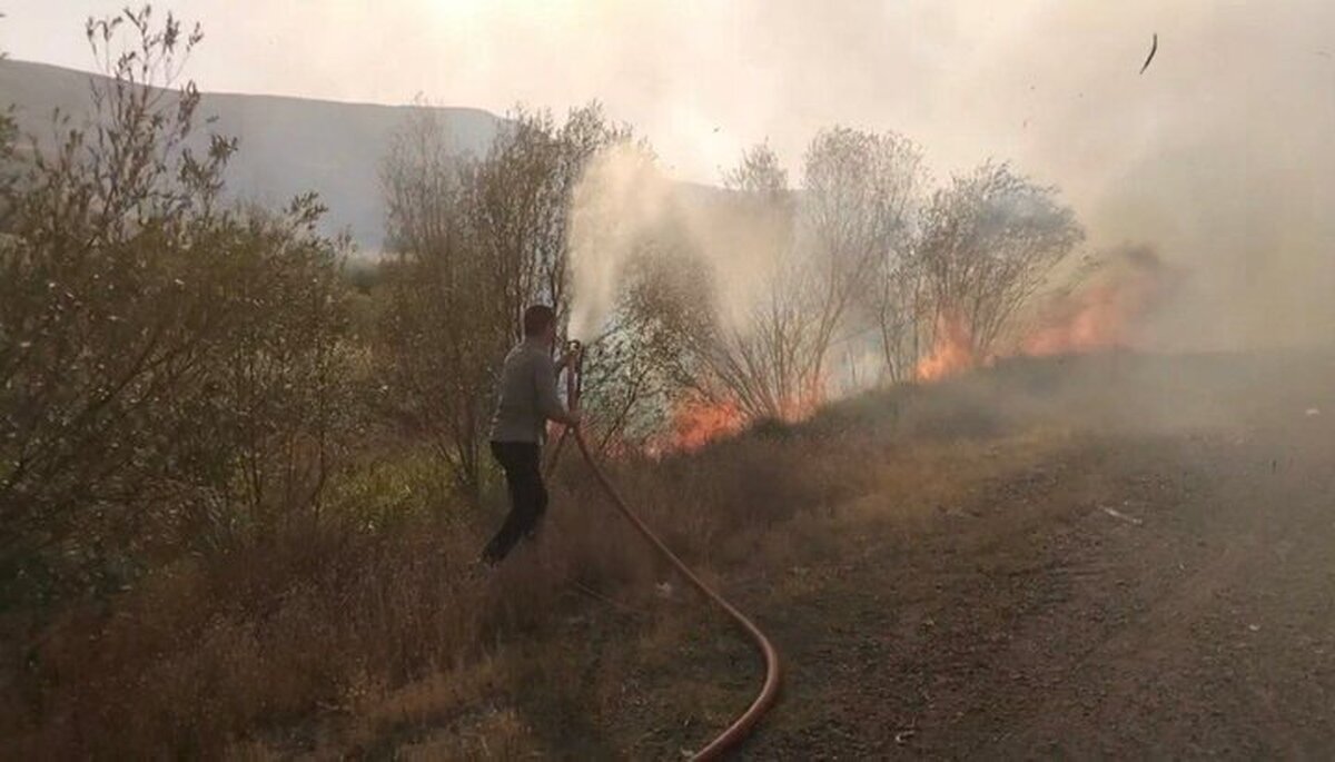 مهار آتش سوزی ۱۴ هکتاری در حاشیه پارک ملی لار