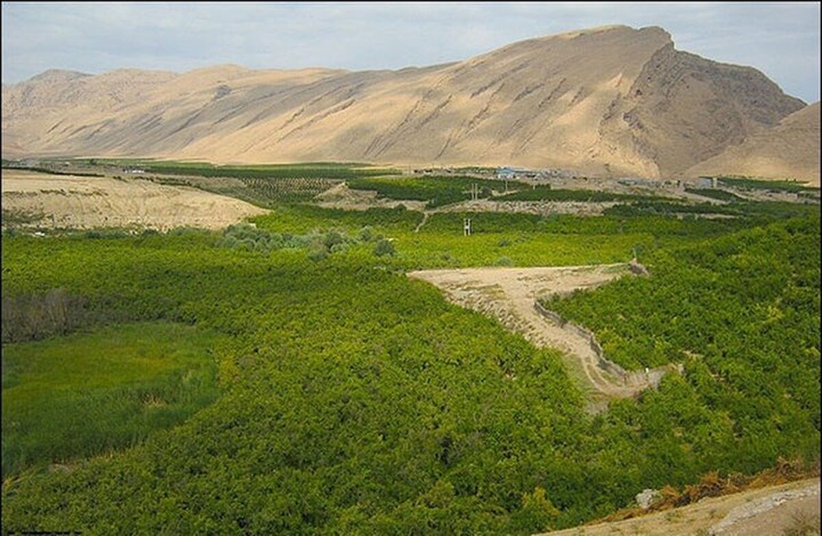 دادگستری تهران بررسی واگذاری‌های اراضی ملی در دهه‌های گذشته را آغاز کرد