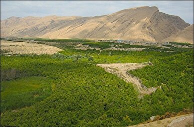 دادگستری تهران بررسی واگذاری‌های اراضی ملی در دهه‌های گذشته را آغاز کرد