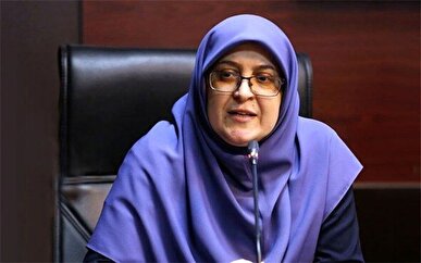 مهاجرانی: کشوری که نتواند بهره وری را افزایش دهد دچار رکود می‌شود