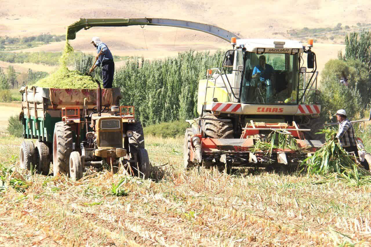 تولید سالانه ۳۶۰ هزار تن ذرت در چهارمحال و بختیاری