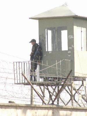 دانشجوی نخبه بسیجی سلاح ضد پهپاد ساخت/ شکار ریزپرنده&zwnj;ها با اختراع جدید دانشجوی همدانی