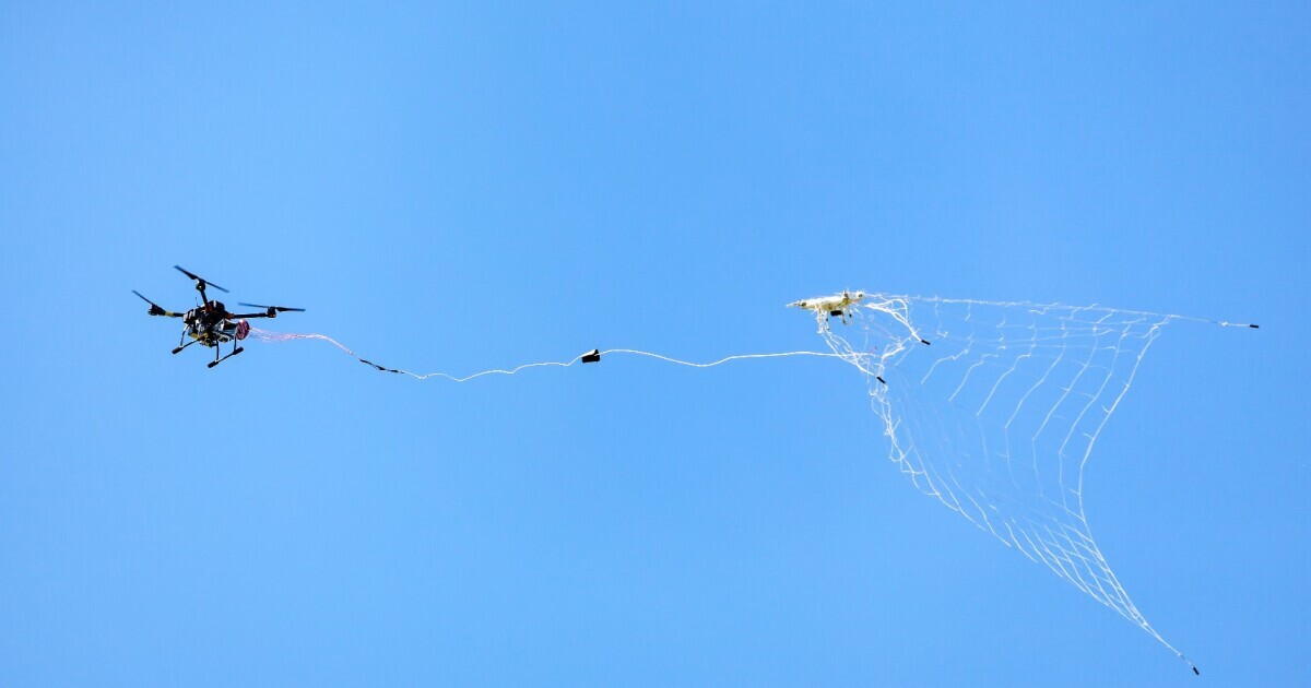 دانشجوی نخبه بسیجی سلاح ضد پهپاد ساخت/ شکار ریزپرنده&zwnj;ها با اختراع جدید دانشجوی همدانی