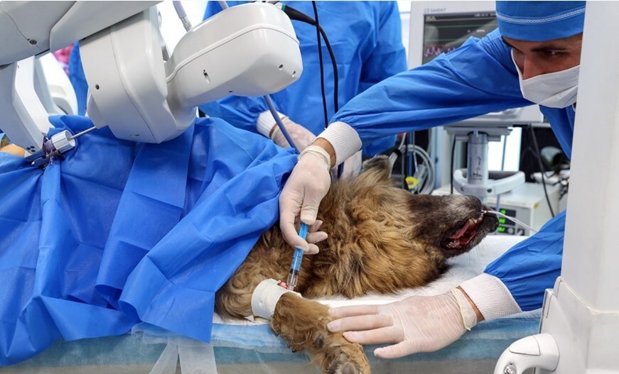 نگاهی به پیچیدگی&zwnj; فنی ساخت ربات&zwnj;های جراح/ ربات جراحی سینا، پیچیده&zwnj;ترین طرح رباتیک پزشکی ایران را بیشتر بشناسید