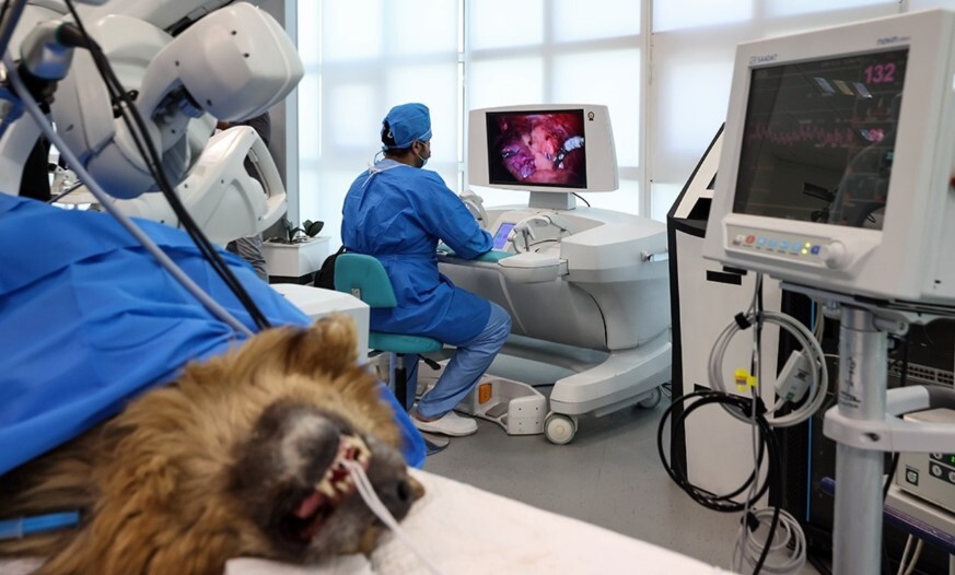 نگاهی به پیچیدگی&zwnj; فنی ساخت ربات&zwnj;های جراح/ ربات جراحی سینا، پیچیده&zwnj;ترین طرح رباتیک پزشکی ایران را بیشتر بشناسید