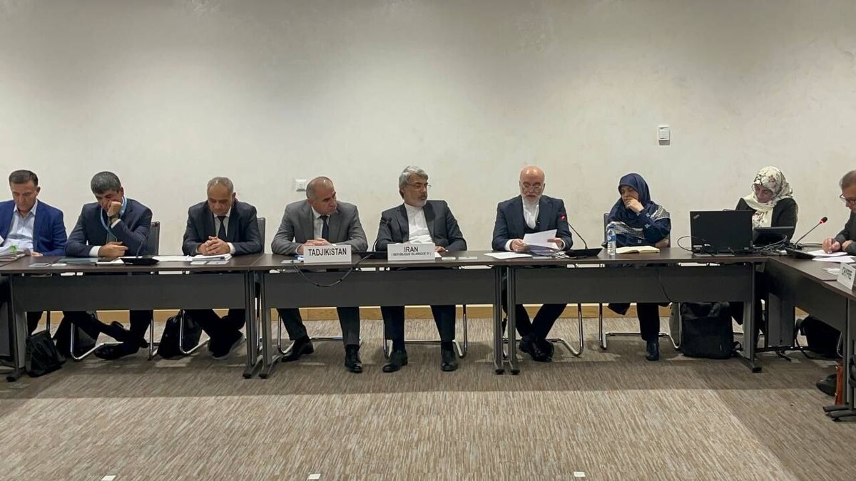 سیاسی‌کاری، شورای حقوق بشر سازمان ملل را بی‌اعتبار می‌کند