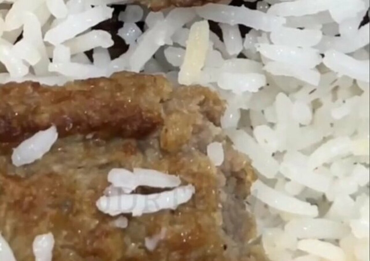 پاسخ دامپزشکی به شایعات اخیر درباره غذای سلف دانشگاه علوم پزشکی همدان