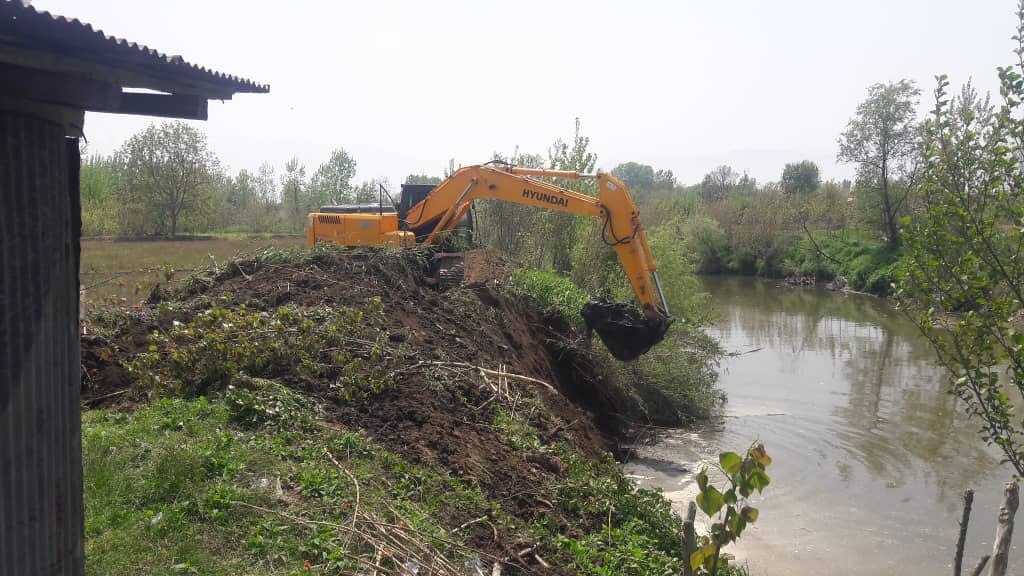لایروبی فوری آب&zwnj;بندان&zwnj;ها و احیای حق&zwnj;آبه سفیدرود/ آخرین امید برای نجات شالیزارهای گیلان