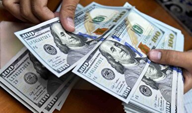 قیمت جدید دلار، یورو و سایر ارز‌ها امروز ۲۹ شهریورماه ۱۴۰۴/ قیمت دلار زمین خورد