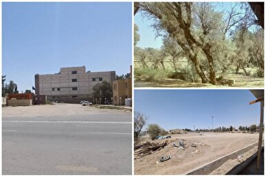 سرپرست راه آهن جنوب‌شرق‌ انتقاد مردمی قطع درختان را به حاشیه برد!
