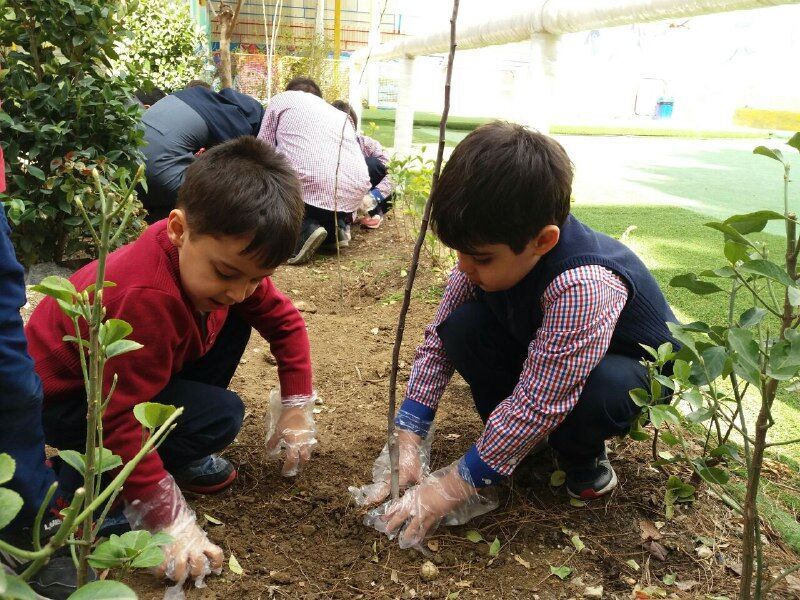 آغاز سال تحصیلی در البرز با پویش ملی «مهر سبز» و کاشت نهال در مدارس