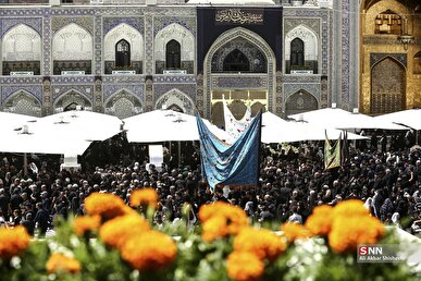 خیل عظیم عاشقان امام رضا (ع) در مشهد مقدس + فیلم