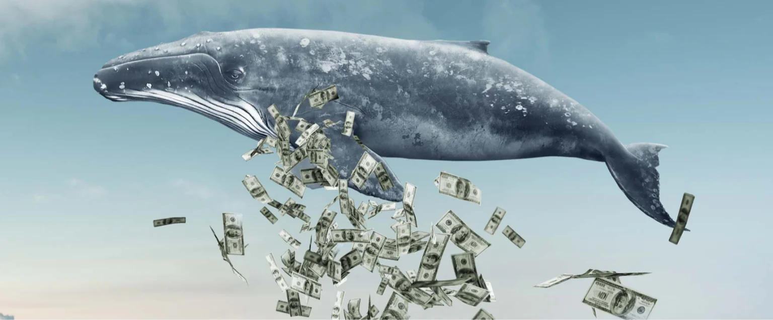 نگاهی به نقش نهنگ ها در بازار سرمایه/ چه کسانی الگوهای ترید را مهندسی میکنند؟