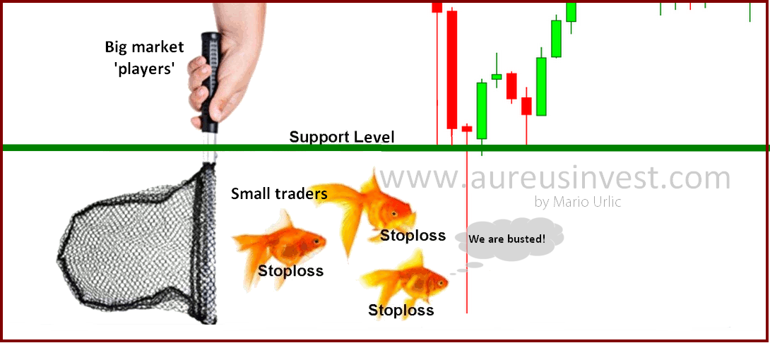 نگاهی به نقش نهنگ ها در بازار سرمایه/ چه کسانی الگوهای ترید را مهندسی میکنند؟