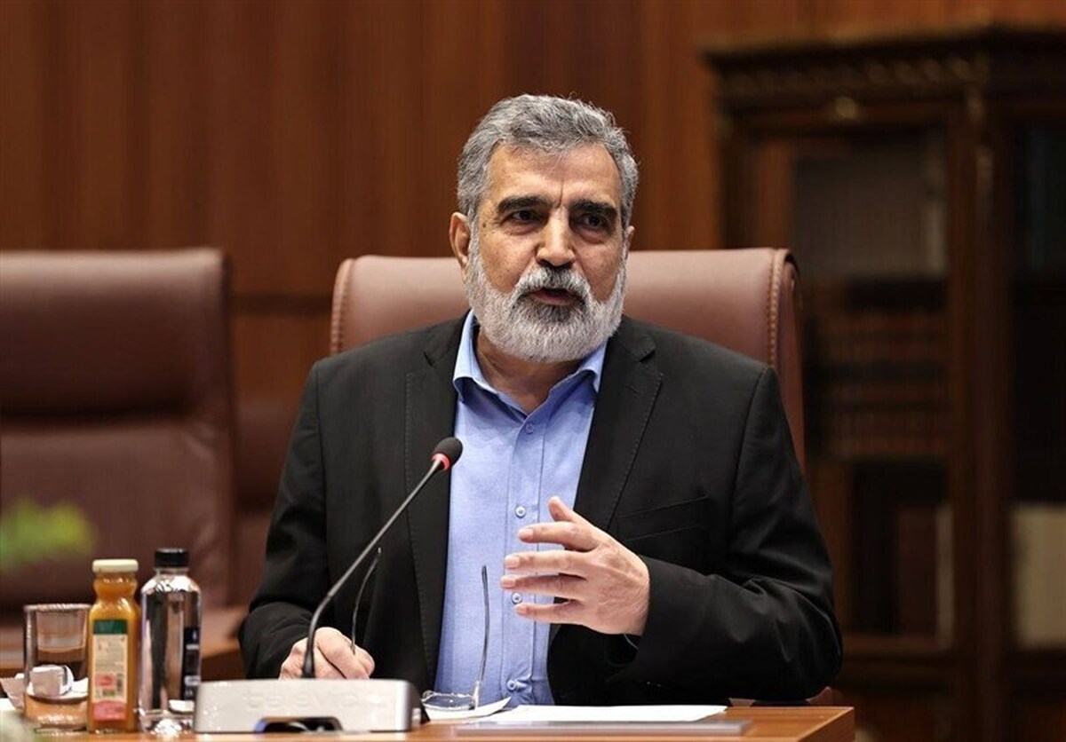 کمالوندی: قرار است بازرسان آژانس بر تعویض سوخت نیروگاه بوشهر نظارت داشته باشند