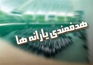 هشدار دیوان محاسبات به دلیل عدم واریز سهم حساب سازمان هدفمندی یارانه‌ها