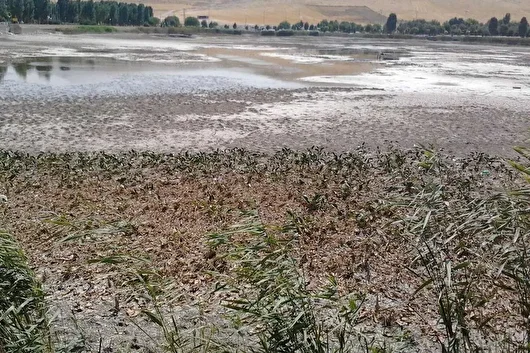 سوءمدیریت و برداشت‌های بی‌رویه عامل مرگ سراب نیلوفر کرمانشاه شد